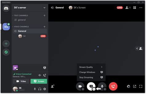 stream hulu on discord|how to stream hulu on discord black screen.